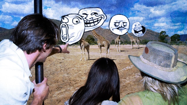 rage-safari-4f59724-intro