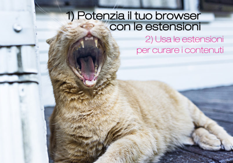 Usare le estensioni per browser