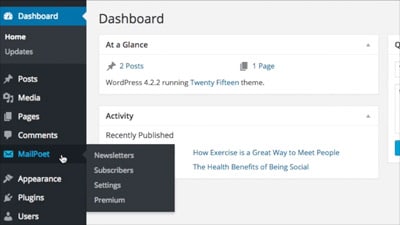 Plugin-o-software-per-l'Email_wordpress