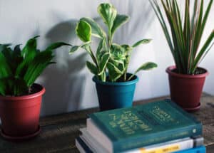 Crescita personale libri consigliati